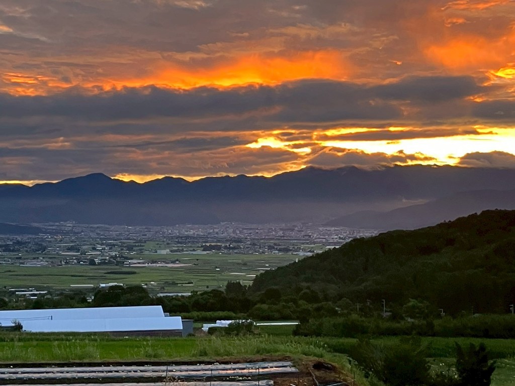 夕暮れの波田の畑と山々